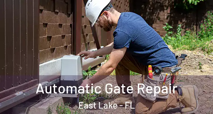 Automatic Gate Repair East Lake - FL