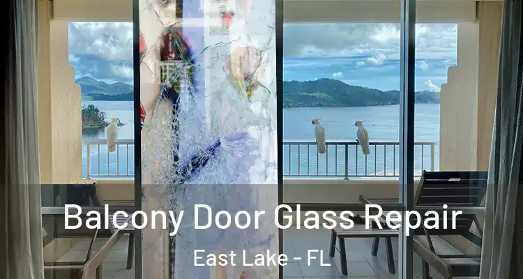 Balcony Door Glass Repair East Lake - FL