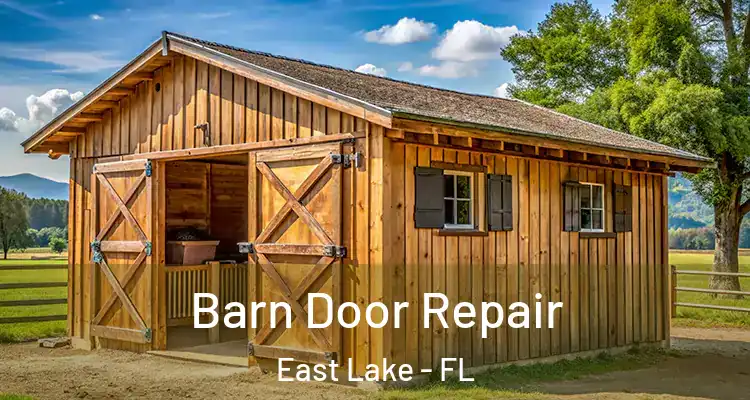 Barn Door Repair East Lake - FL