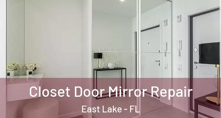 Closet Door Mirror Repair East Lake - FL