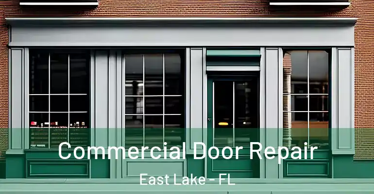 Commercial Door Repair East Lake - FL