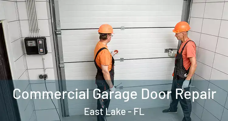 Commercial Garage Door Repair East Lake - FL