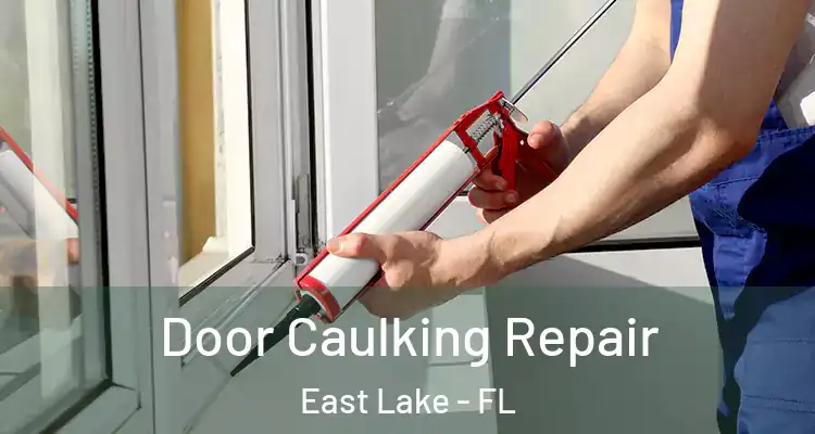 Door Caulking Repair East Lake - FL