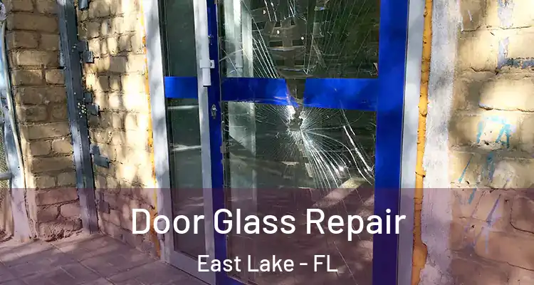Door Glass Repair East Lake - FL