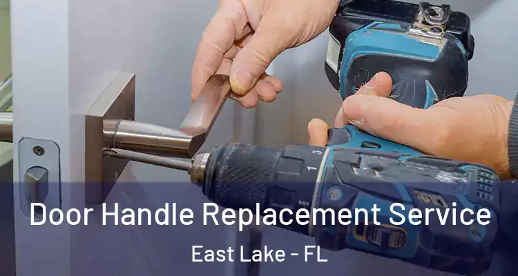 Door Handle Replacement Service East Lake - FL