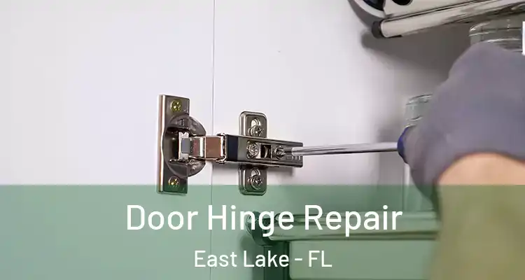 Door Hinge Repair East Lake - FL