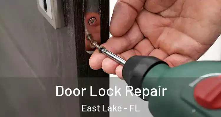 Door Lock Repair East Lake - FL