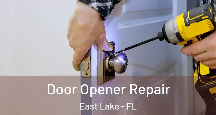 Door Opener Repair East Lake - FL