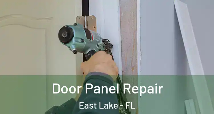 Door Panel Repair East Lake - FL