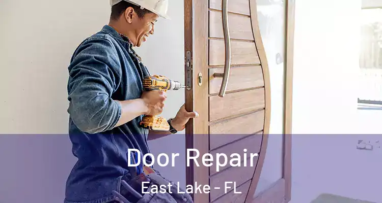 Door Repair East Lake - FL