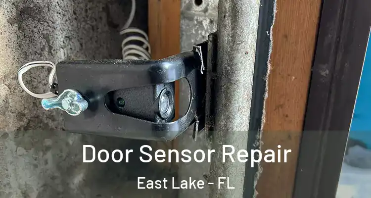 Door Sensor Repair East Lake - FL