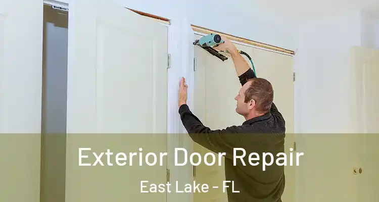 Exterior Door Repair East Lake - FL