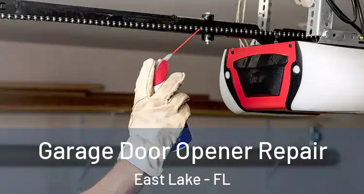 Garage Door Opener Repair East Lake - FL