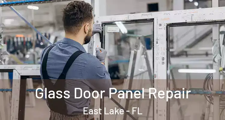 Glass Door Panel Repair East Lake - FL