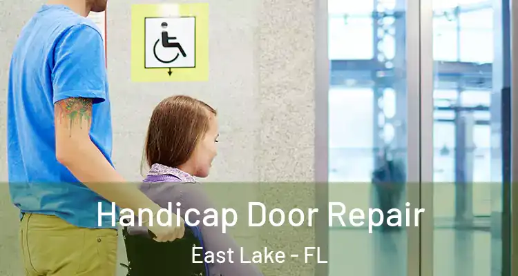 Handicap Door Repair East Lake - FL