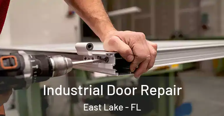Industrial Door Repair East Lake - FL