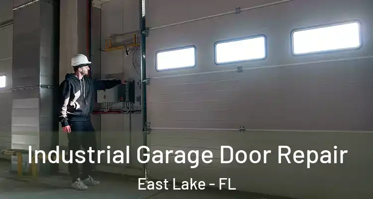 Industrial Garage Door Repair East Lake - FL