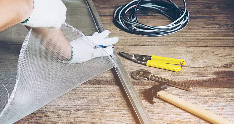 Our Pool Enclosure Mesh Repair Services in East Lake, FL