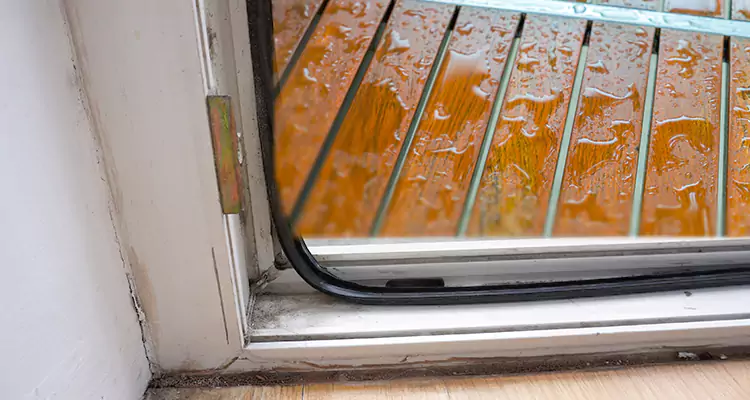 Water Leaking Wooden Patio Doors Repair in East Lake, FL