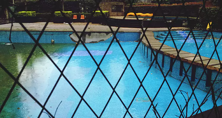 Lanai Screen Repair in East Lake, FL