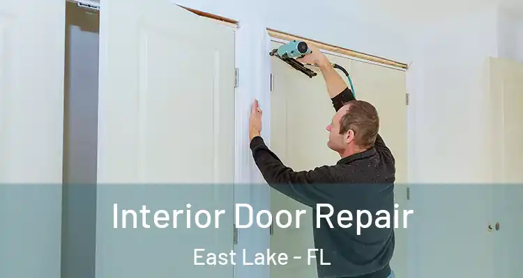 Interior Door Repair East Lake - FL
