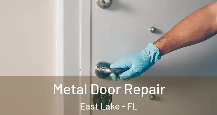 Metal Door Repair East Lake - FL