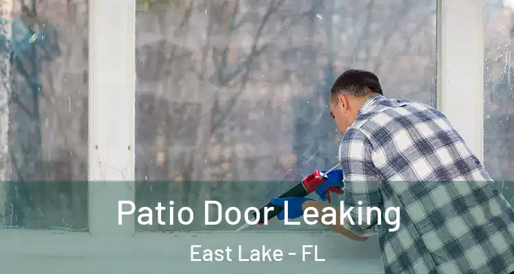 Patio Door Leaking East Lake - FL