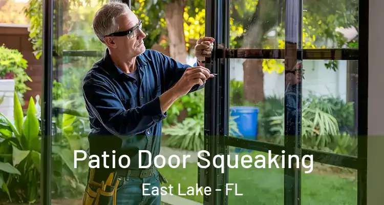 Patio Door Squeaking East Lake - FL