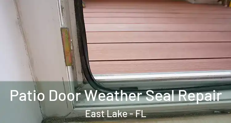 Patio Door Weather Seal Repair East Lake - FL