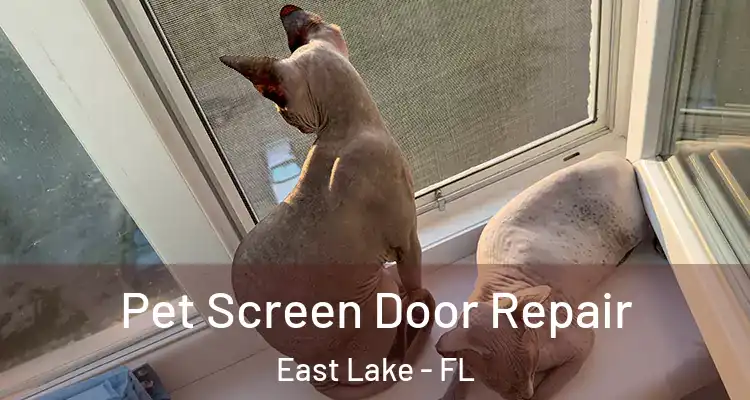 Pet Screen Door Repair East Lake - FL