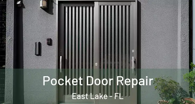 Pocket Door Repair East Lake - FL