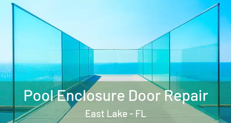 Pool Enclosure Door Repair East Lake - FL
