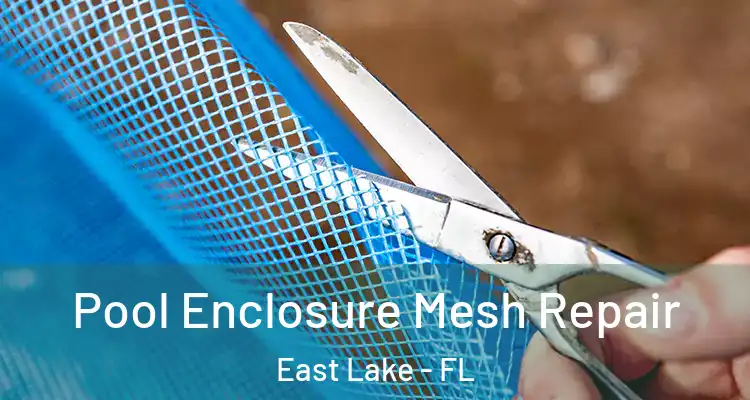 Pool Enclosure Mesh Repair East Lake - FL