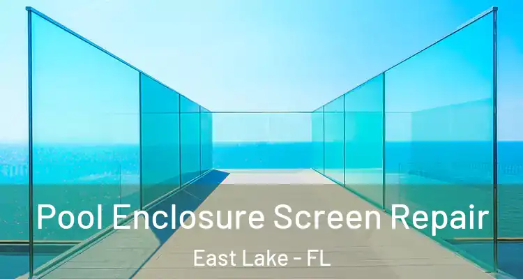 Pool Enclosure Screen Repair East Lake - FL