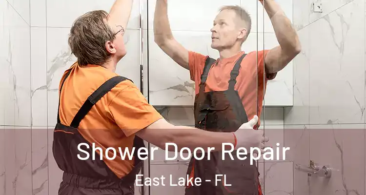 Shower Door Repair East Lake - FL