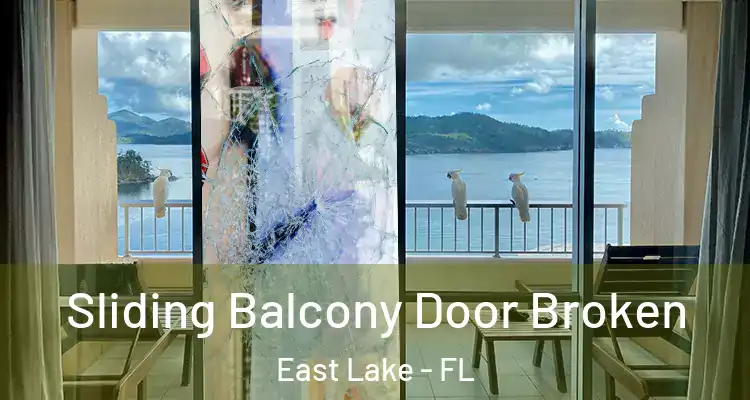 Sliding Balcony Door Broken East Lake - FL