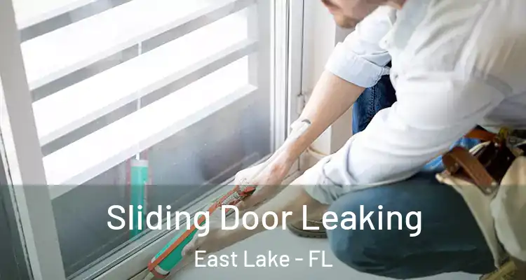 Sliding Door Leaking East Lake - FL