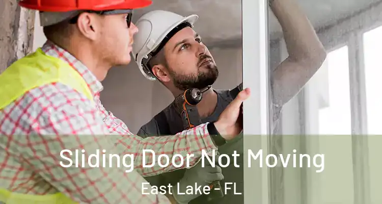 Sliding Door Not Moving East Lake - FL