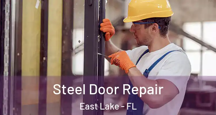Steel Door Repair East Lake - FL