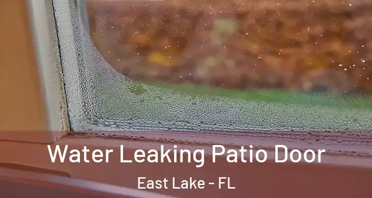 Water Leaking Patio Door East Lake - FL