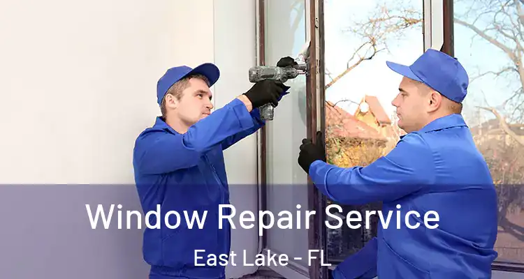 Window Repair Service East Lake - FL