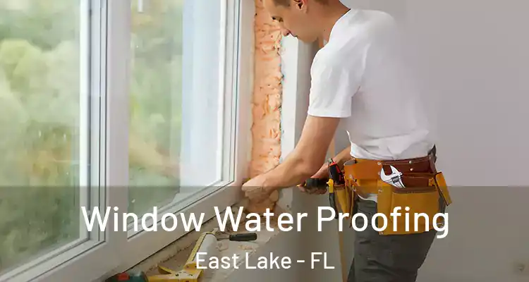 Window Water Proofing East Lake - FL