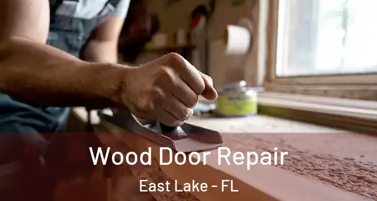 Wood Door Repair East Lake - FL